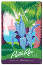 Discover Puerto Rico 2 16 x 24