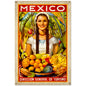Mexico 24 x 36