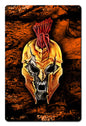 Spartan Skull 12 x 18