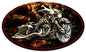 Bad Ass Bagger 14 x 14