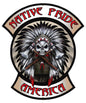 Native Pride Indian Skull 14 x 16